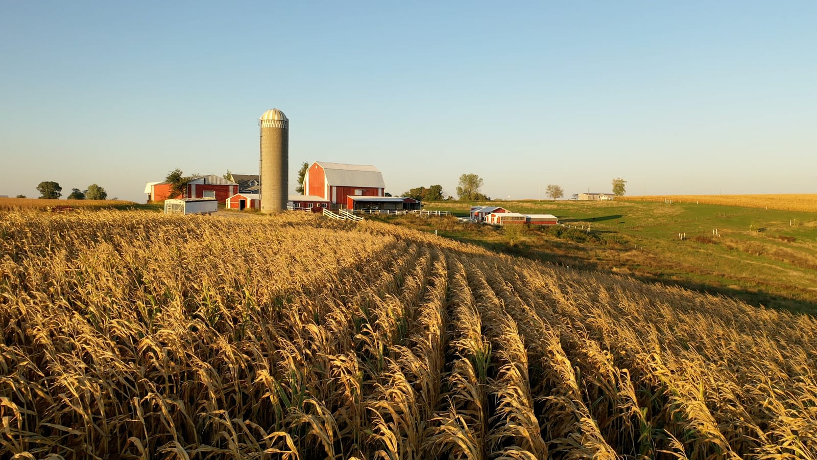 Barn and grain silo behind a harvested field