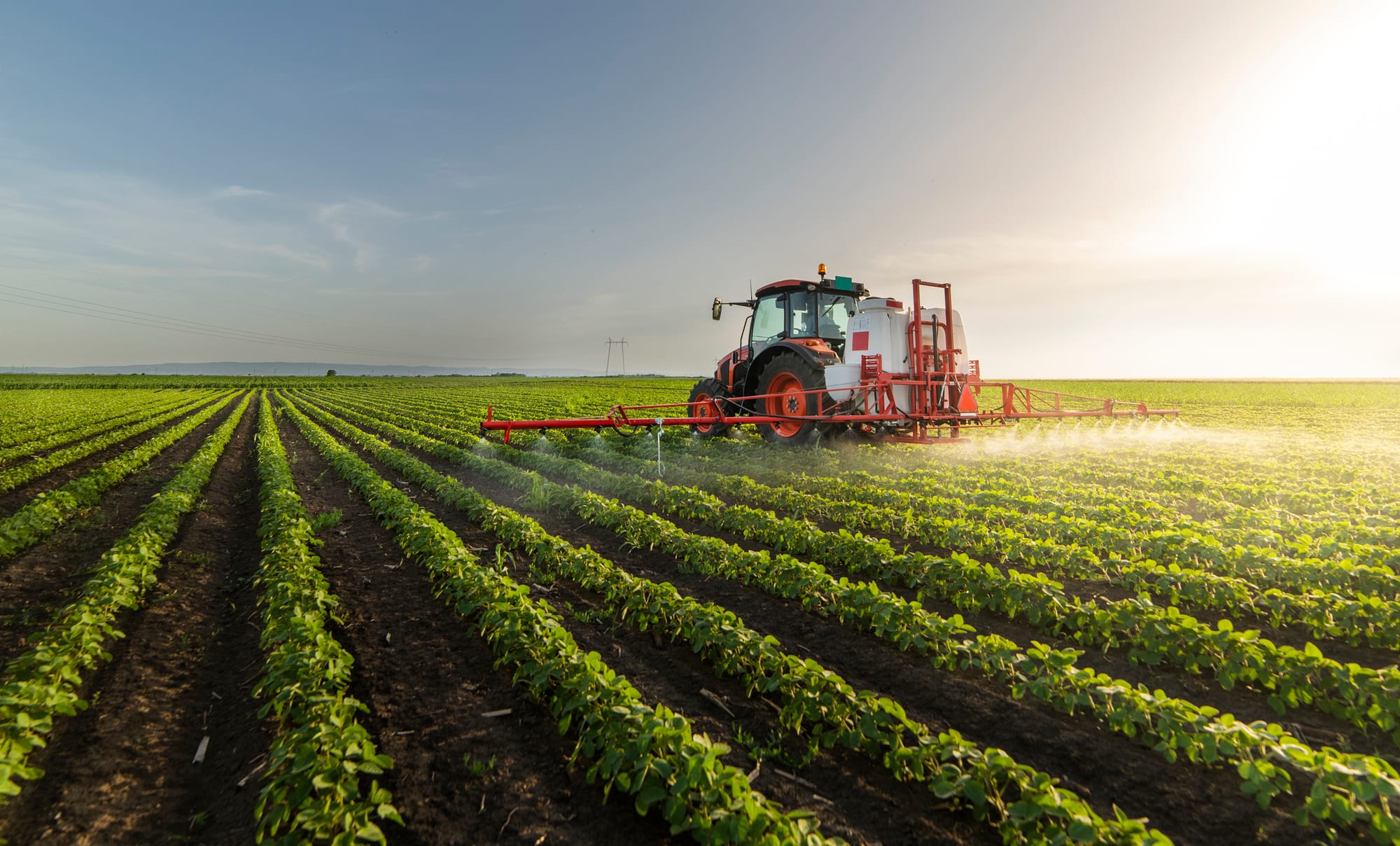 Tractor spraying a soybean field at sunrise