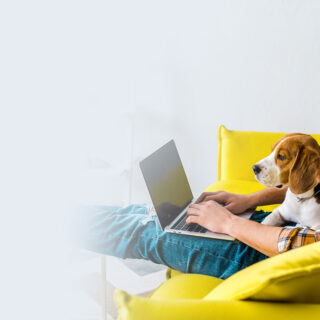 Man Sitting on Couch with Pet Dog While Using Laptop - Lead Image for Pet Insurance Page