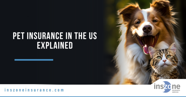 Pet Insurance in the US Explained