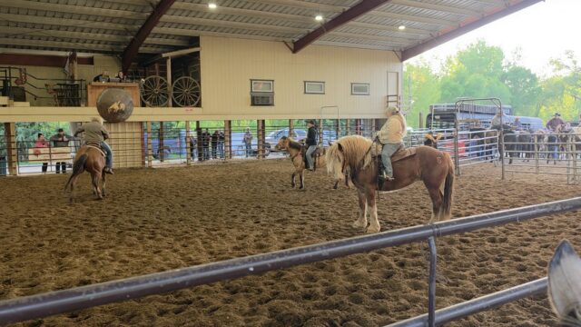 Community Spotlight Simone Cady Saddles Up for St. Jude