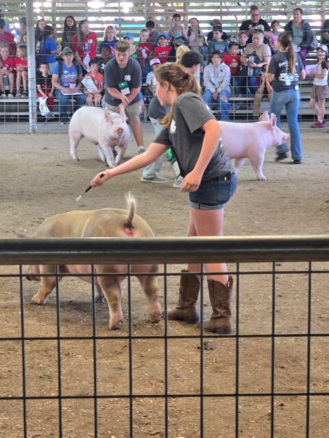 Community Spotlight: Amber Harder Supports Yolo County 4-H on Farm ConnectionDay
