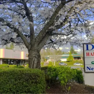inszone insurance in federal way washington