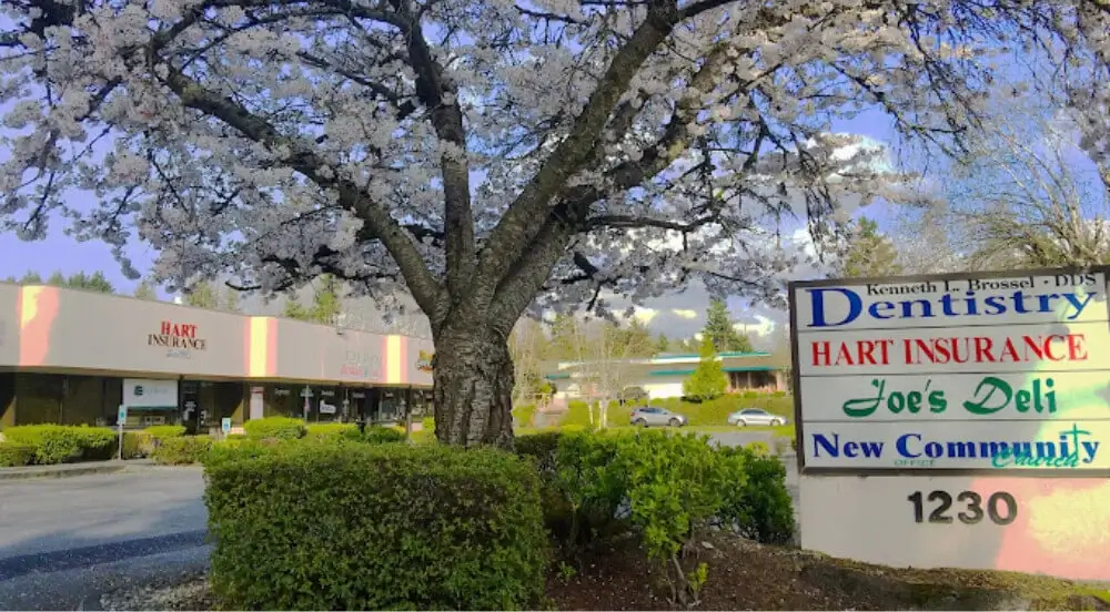 inszone insurance in federal way washington
